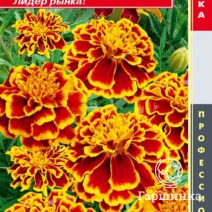 

Бархатцы Бонанза Пчелка отклоненные 10шт, Плазменные семена