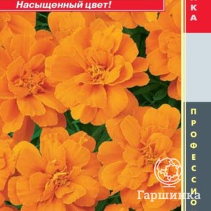 

Бархатцы Дюранго Мандарин отклоненные 10шт, Плазменные семена