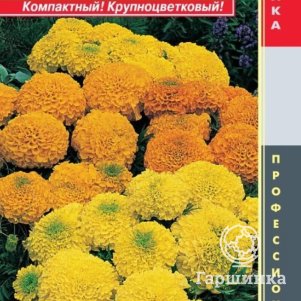 

Бархатцы Антигуа Микс F1 прямостоячие 5шт, Плазменные семена