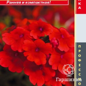 

Вербена Кварц Скарлет F1 гибридная (серия Quartz XP) 5 шт, Плазменные семена