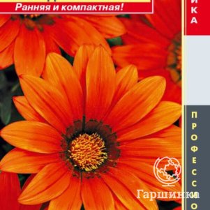 

Гацания Бронзовая F1 (серия New Day) 5шт, Плазменные семена