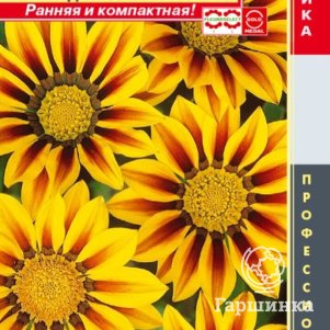 

Гацания Красно-желтая F1 (серия New Day) 5шт, Плазменные семена