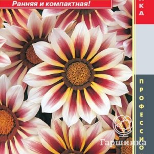 

Гацания Розово-белая F1 (серия New Day) 5шт, Плазменные семена