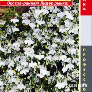 

Лобелия Регатта Вайт ампельная (серия Regatta) 8 шт, Плазменные семена