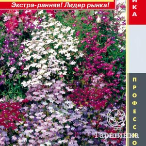 

Лобелия Регатта Микс ампельная (серия Regatta) 8 шт, Плазменные семена