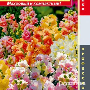 

Львиный зев Колокольный звон F1 (серия Twinny) 10 шт, Плазменные семена