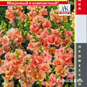 

Львиный зев Персиковый звон (AAS-winner) F1 (серия Twinny) 10 шт, Плазменные семена