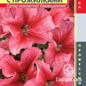 

Петуния Лимбо Красная с прожилками крупноцветковая F1 (серия Limbo) 10 шт, Плазменные