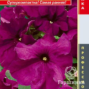 

Петуния Лимбо Темно-пурпурная крупноцветковая F1 (серия Limbo) 10 шт, Плазменные семе