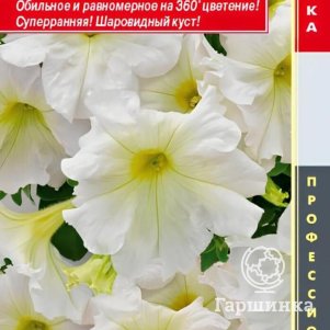 Петуния Лайт Еллоу крупноцветковая F1 (серия Success! 360) 10 шт, Плазменные семена