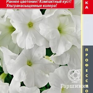 Петуния Уайт крупноцветковая F1 (серия Success! HD) 10 шт, Плазменные семена