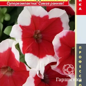 Петуния Ред Пикоти крупноцветковая F1 (серия Limbo) 10 шт, Плазменные семена