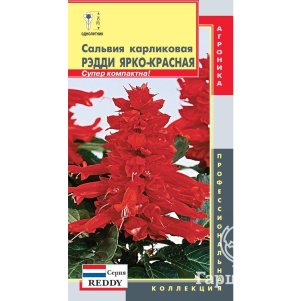 

Сальвия Ярко-красная карликовая (серия Reddy) 10 шт, Плазменные семена