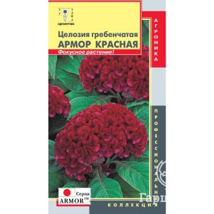 Целозия Красная гребенчатая серия Armor 10 шт Плазменные семена 39₽