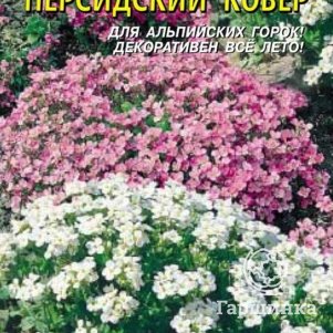 Арабис Персидский ковер 01 г Плазменные семена 39₽