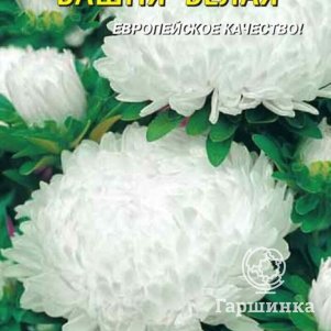 Астра Башня Белая 0,3 г, Плазменные семена