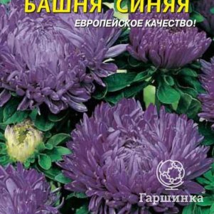 Астра Башня Синяя 0,3 г, Плазменные семена