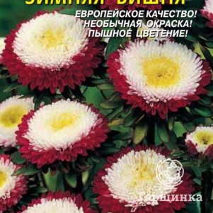 

Астра Зимняя вишня 0,1 г, Плазменные семена