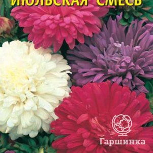

Астра Июльская смесь 0,3 г, Плазменные семена