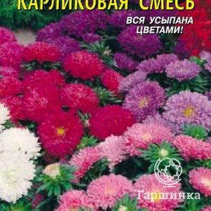 

Астра Карликовая смесь 0,3 г, Плазменные семена