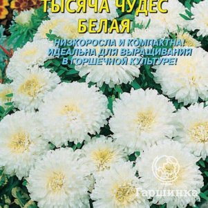 

Астра Тысяча чудес белая карликовая 0,2г, Плазменные семена