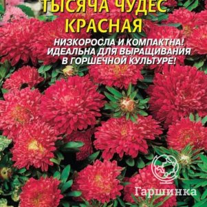 

Астра Тысяча чудес красная карликовая 0,2г, Плазменные семена