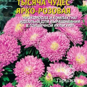 

Астра Тысяча чудес ярко-розовая карликовая 0,2г, Плазменные семена