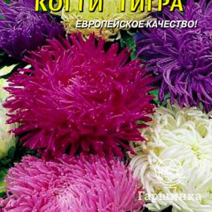 

Астра Когти тигра 0,3 г, Плазменные семена