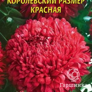

Астра Королевский размер красная 0,1 г, Плазменные семена