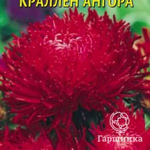 

Астра Ангора Краллен 0,3 г, Плазменные семена