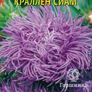

Астра Сиам Краллен 0,3 г, Плазменные семена