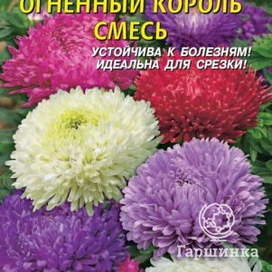 

Астра Огненный король смесь 0,3г, Плазменные семена