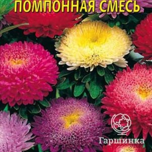 Астра Помпонная смесь 0,3 г, Плазменные семена