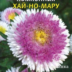 Астра Хай-Но-Мару помпонная 0,1 г, Плазменные семена