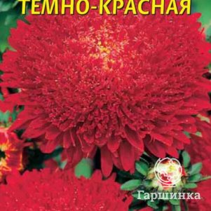 Астра Принова темно-красная 0,3 г, Плазменные семена
