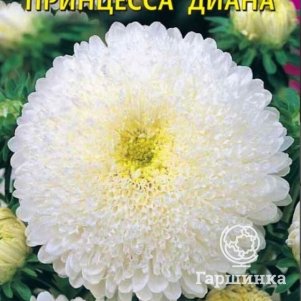 Астра Принцесса Диана 0,2 г, Плазменные семена