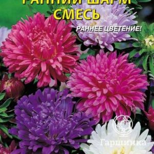 

Астра Ранний Шарм смесь 0,3 г, Плазменные семена