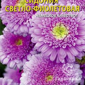 

Астра Сидония Светло-фиолетовая 0,2 г, Плазменные семена