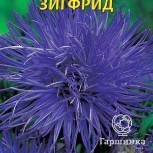 

Астра Харц Зигфрид 0,3 г, Плазменные семена