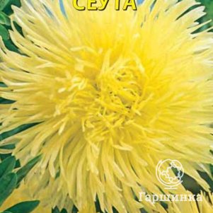 

Астра Харц Сеута 0,3 г, Плазменные семена