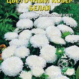 Астра Цветочный ковер белая 0,2 г, Плазменные семена