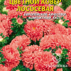 

Астра Цветочный ковер лососевая 0,3 г, Плазменные семена