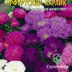 

Астра Эрфуртский карлик 0,2 г. Плазменные семена