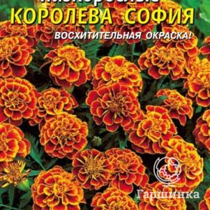 

Бархатцы Королева София низкорослые 45 шт, Плазменные семена