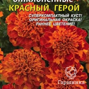 

Бархатцы Красный Герой отклоненные 15 шт, Плазменные семена