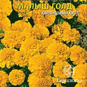 

Бархатцы Малыш Голд отклоненные 30 шт, Плазменные семена