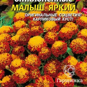 

Бархатцы Малыш Яркий отклоненные 30 шт, Плазменные семена