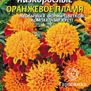Бархатцы Оранжевое пламя отклоненные  45 шт, Плазменные семена