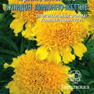 

Бархатцы Купидон Лимонно-желтый прямостоячие 20 шт, Плазменные семена