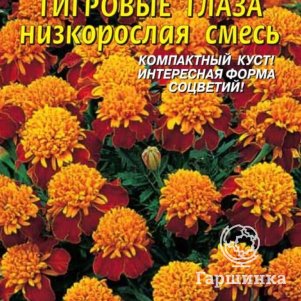 Бархатцы Тигровые глаза низкорослые смесь 45 шт, Плазменные семена